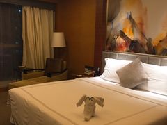 -深圳观澜格兰云天国际酒店