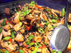 -蛙来哒(友谊阳光城店)