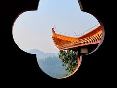 -深圳市中科院仙湖植物园