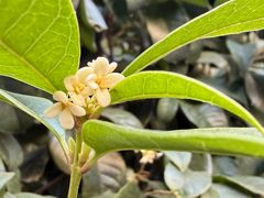 -苏州河梦清园环保主题公园