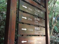 -花岩国家森林公园