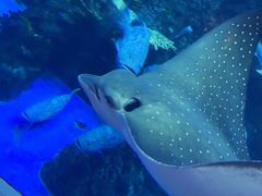 -成都浩海立方海洋公园