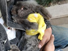 -雨林宠物医院 非犬猫异宠专科