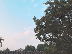 景观位-SUSU·苏苏(四合院创始店)