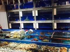 -璞御·海鲜·雪花牛肉局(宾水西道店)