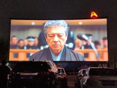-枫花园汽车电影院(朝阳公园店)