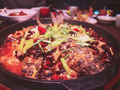 -老板恋上鱼(荣盛广场店)