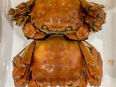 大闸蟹-华盛丰温州大排档(东三环南路店)