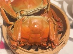 -广州万富希尔顿酒店-感趣自助餐厅·生蚝海鲜刺身