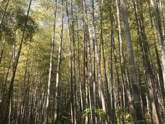 -南山风景名胜区