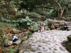 -火炉山森林公园