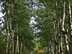 -十三陵水库