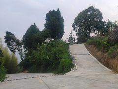 -铁山坪森林公园