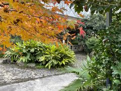 -铁山坪森林公园