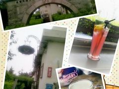 咖啡-向日葵咖啡