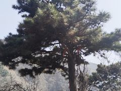 -终南山古楼观历史文化景区
