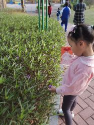 -深圳市儿童乐园