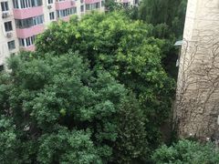 -芳草地国际学校世纪小学