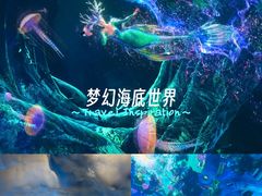 -海合安武汉极地海洋公园