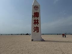 -东郊椰林