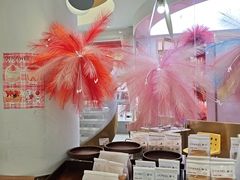 -夏佐CHASEL(横店康庄路店)