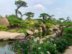 -罗红摄影艺术馆