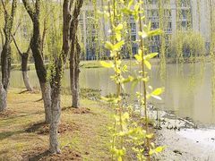 -江南大学(蠡湖校区)