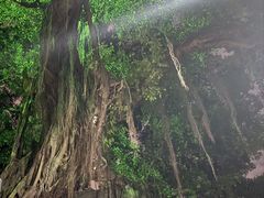 -小洲村