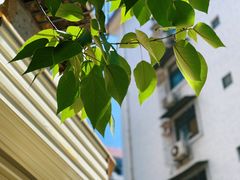 -春庄咖啡SpringHues(钟楼小区店)