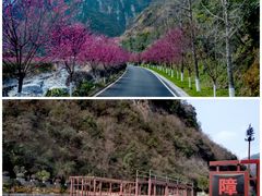 -高岚大峡谷旅游度假区