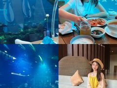 -海棠湾洲际-涛·海底餐厅·美人鱼·自助餐·海底隧道