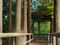 -东湖落雁景区