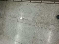-东方体育中心(地铁站)