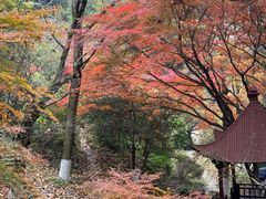 -莫干山风景区
