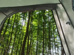 -桤木河湿地公园