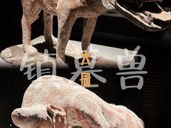 -大同市博物馆