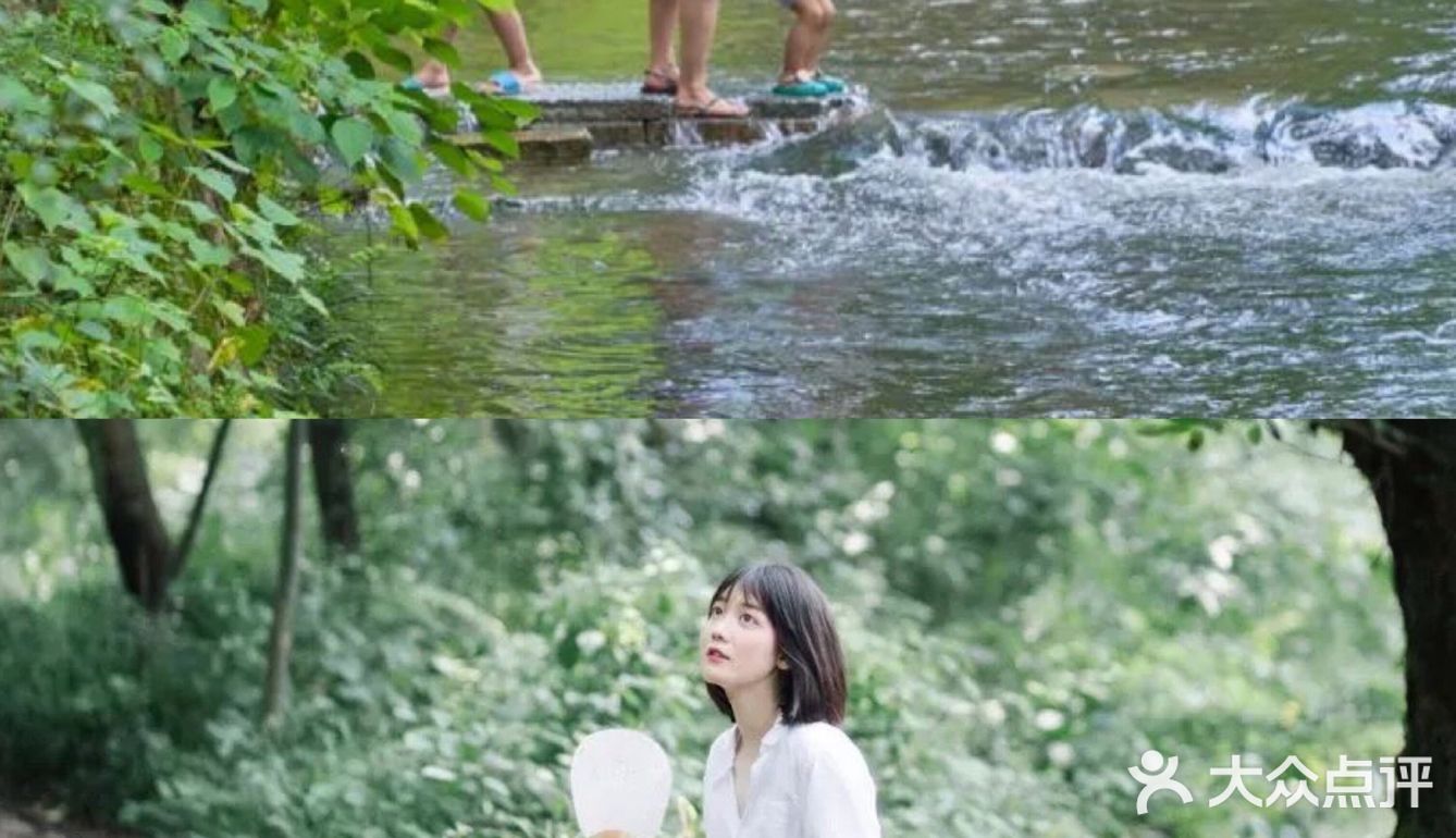 溪林里的夏天🍉五星玩水地💦上海1h直达