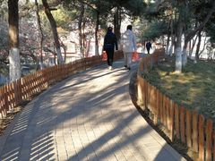 -古城公园