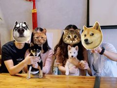 -百好乐宠物友好餐厅(朝外大街店)