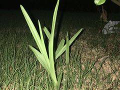 -筼筜书院