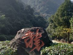 -午潮山国家森林公园
