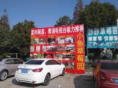 -小鱼草莓采摘园农家乐·小鱼餐厅