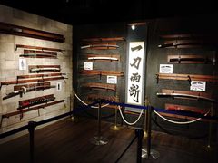 -东京塔海贼王主题公园