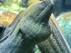 -太平洋海底世界