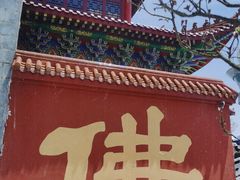 -长沙黑麋峰国家森林公园