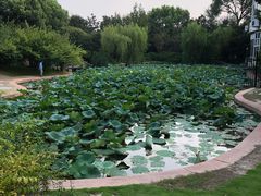 -上海市龙华烈士陵园