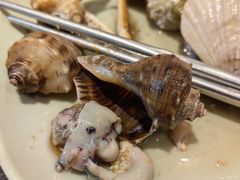 -韩盛炭火烤肉(万达广场店)