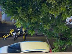 -和平行旅·全女旅宿(永庆坊店)