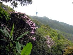 -梧桐山风景名胜区