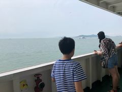 -长岛万鸟岛